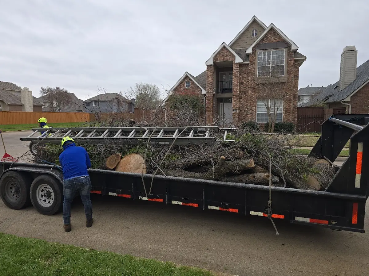 Expert Tree Fertilization with proper safety equipment in Roaring Gap